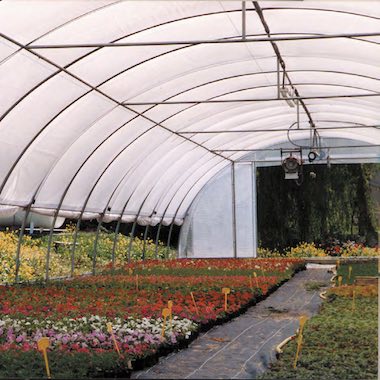 Serres Tonneau, des serres professionnelles